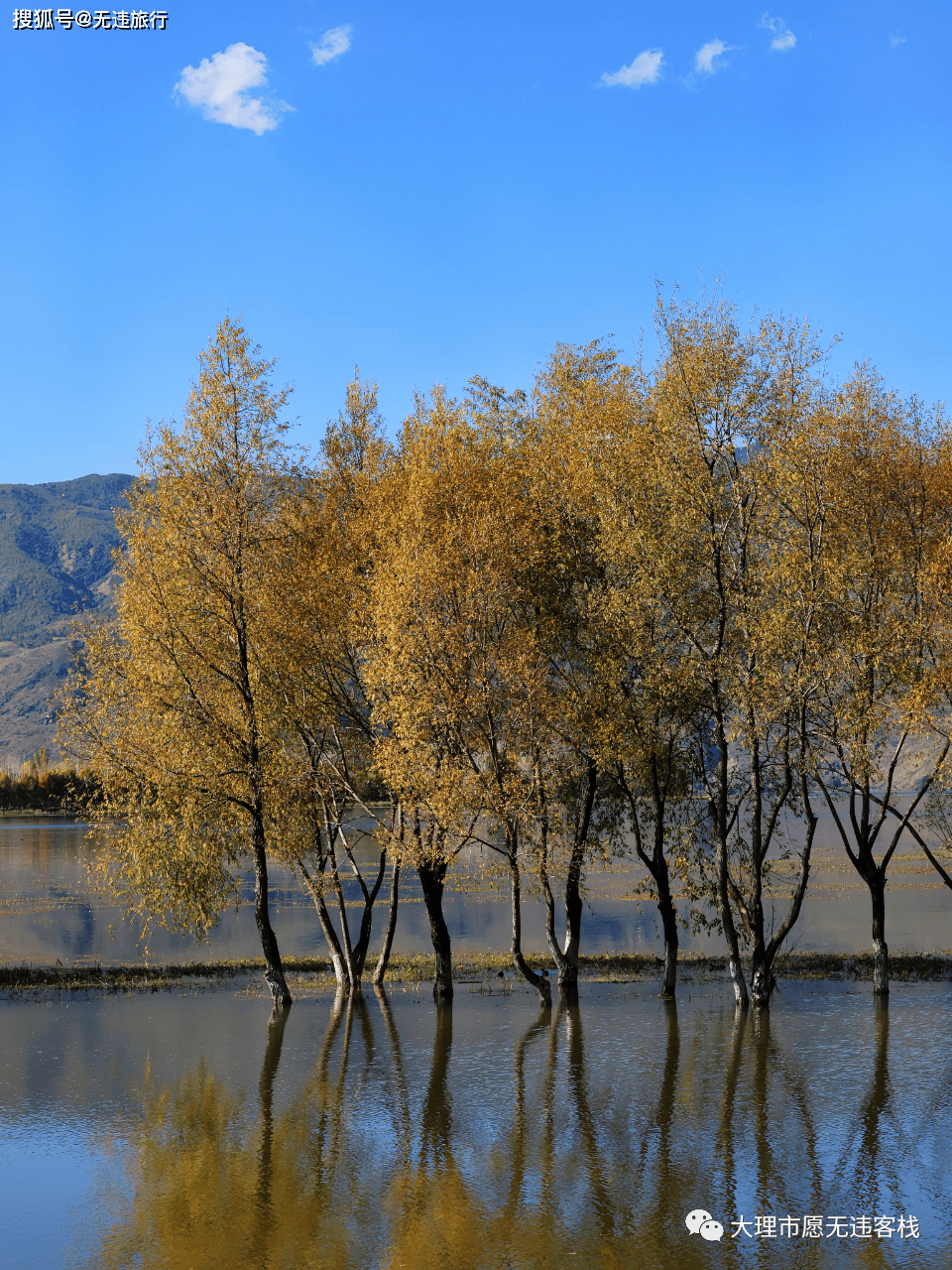 洱源茈碧湖风景名胜区图片