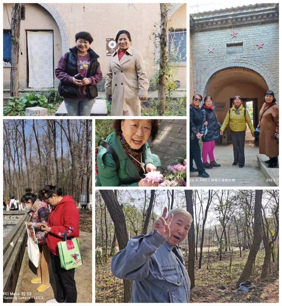 畅游三秦|奇妙的三原县文化之旅_柏社_窑洞_银杏