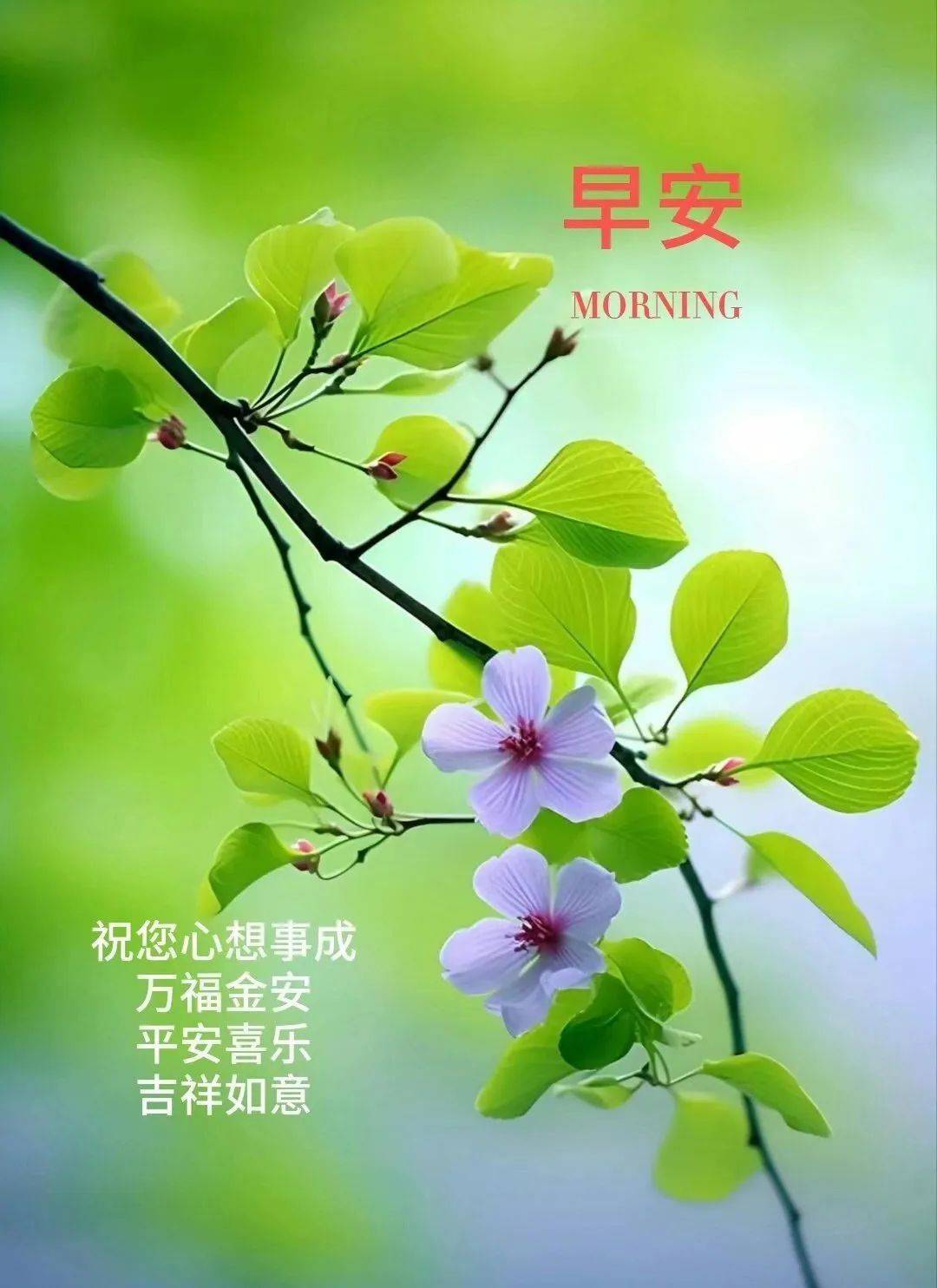 12月2日周六早上好,最新版漂亮周末早安祝福语表情图_心情_时刻_美好