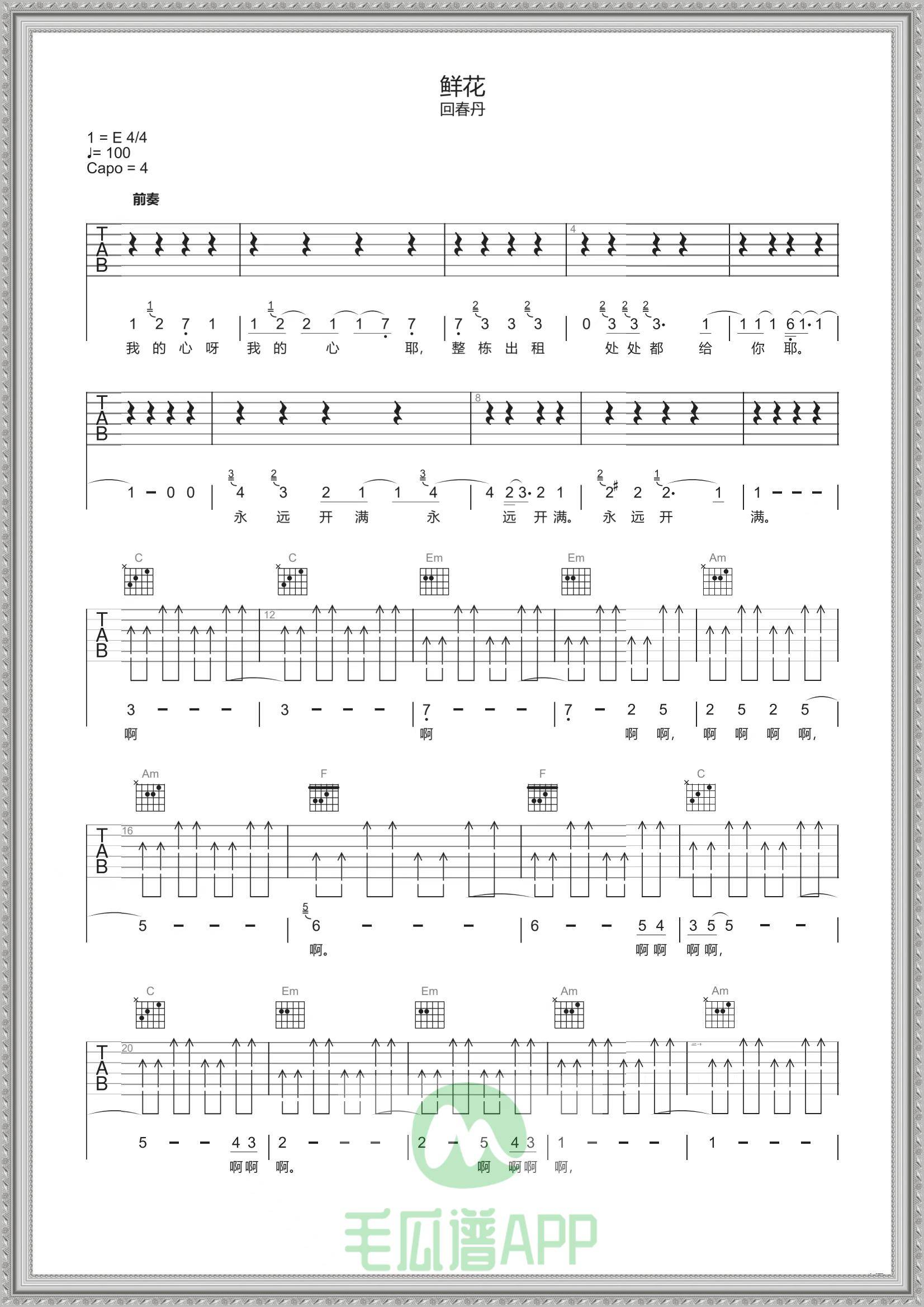 回春丹《鲜花》吉他谱分享