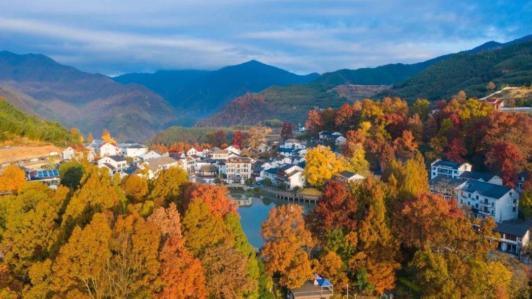探索华东地区最美古村落,泛舟青山湖水上森林,下榻临安万豪酒店_宾客