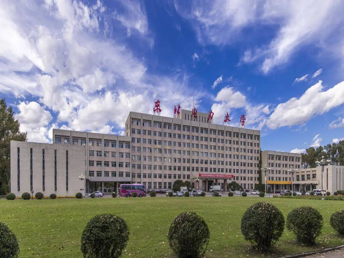 2023年东北电力大学专项招聘高校毕业生公告(2号)_岗位_人员_张三