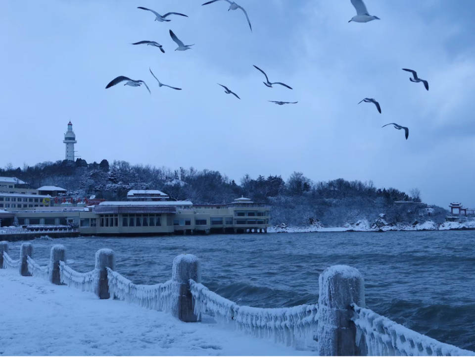冬日旅行就来这座城市,有海有雪还有海鸥,简直太浪漫了
