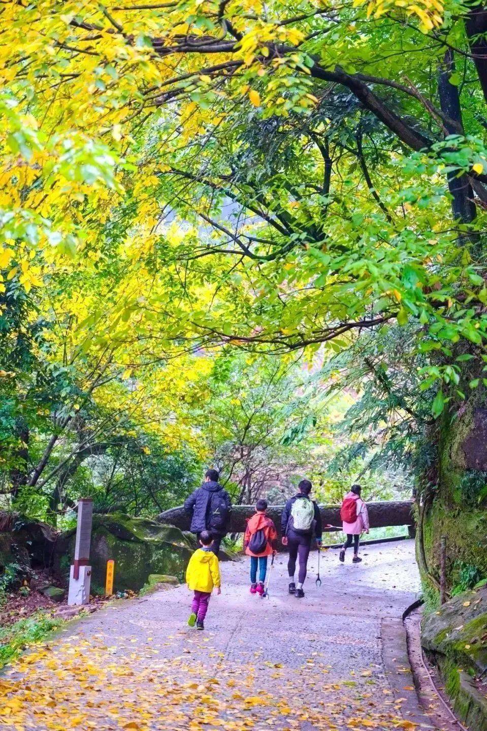 跟著小紅書玩轉丹稜~_峨山_風景_旅行