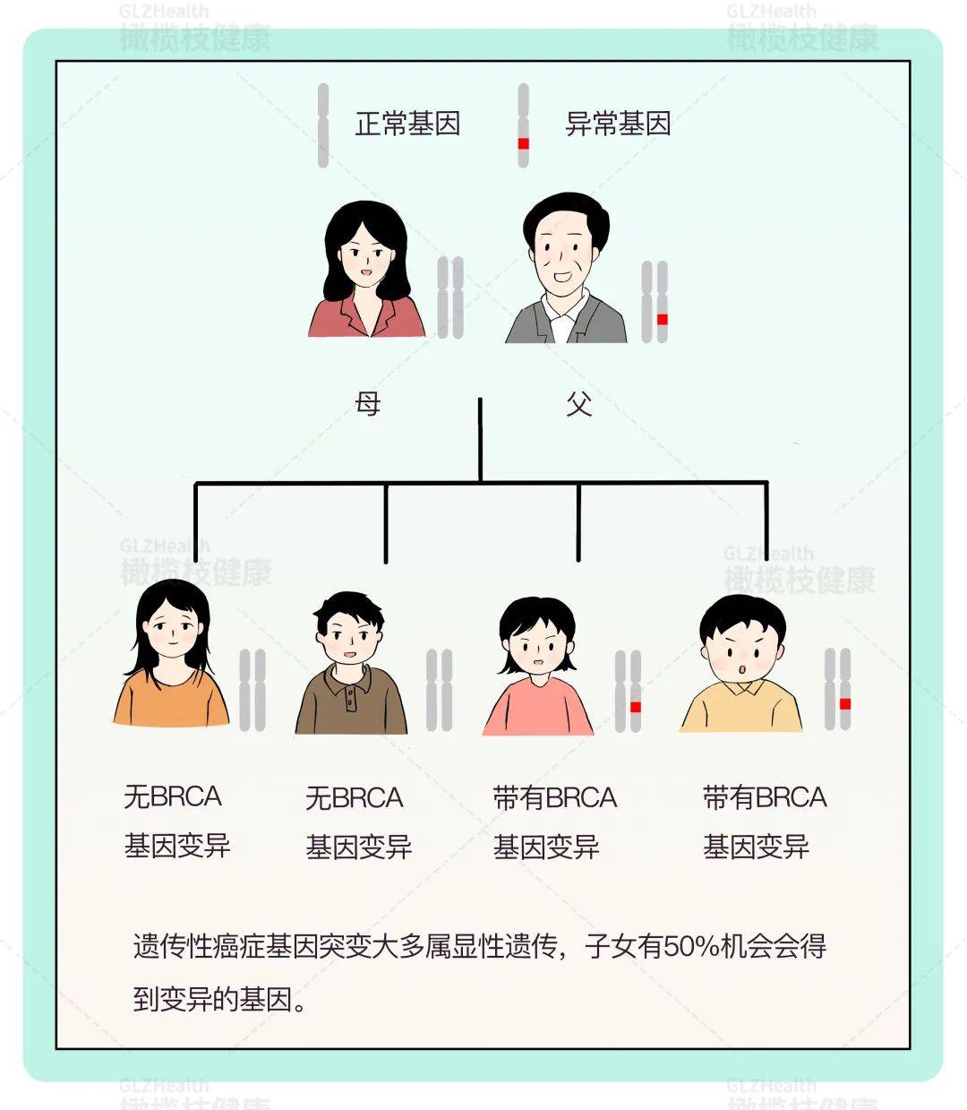 为什么一些遗传病会传递给下一代？