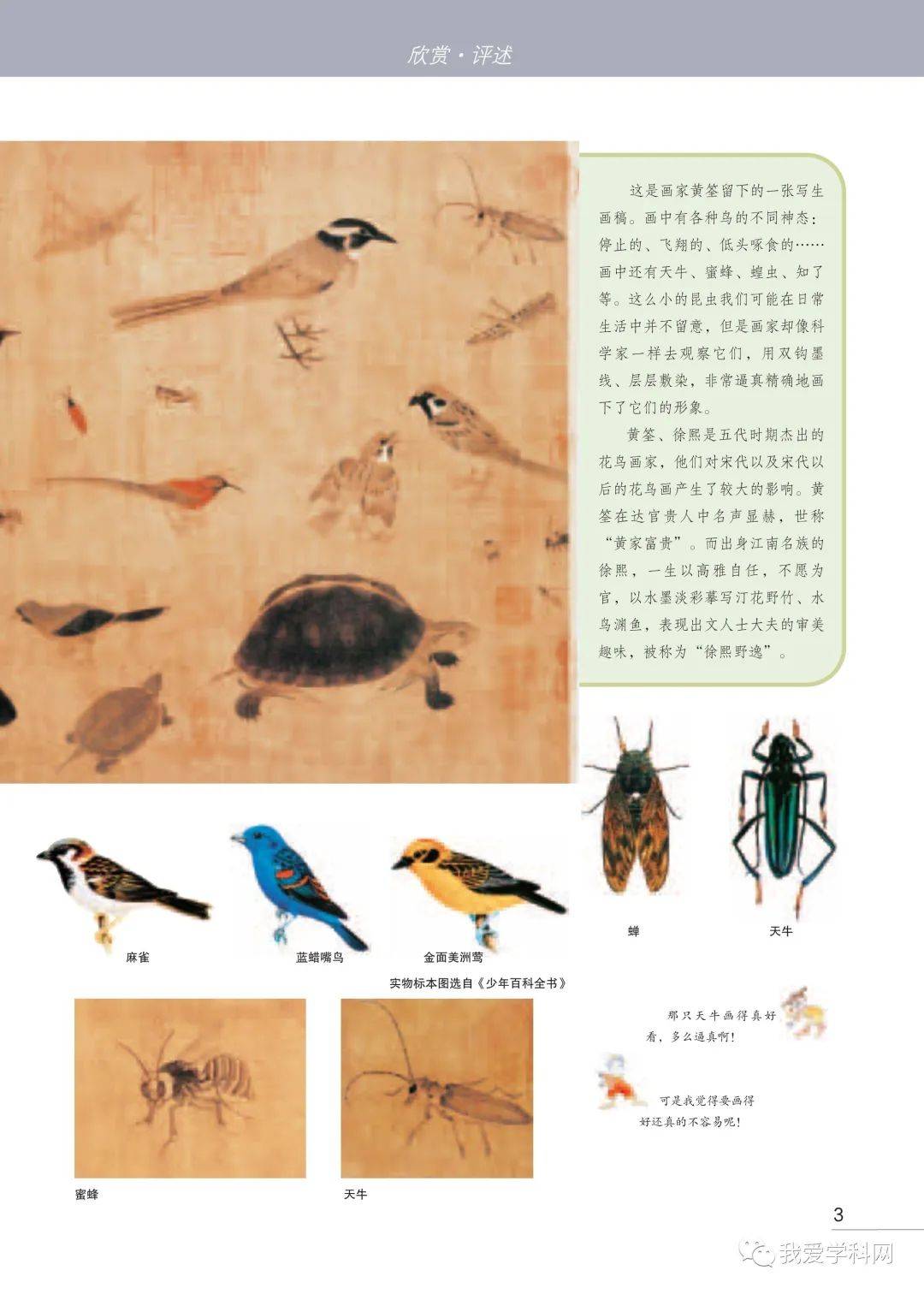 苏少版七年级上册美术pdf高清电子课本免费分享!