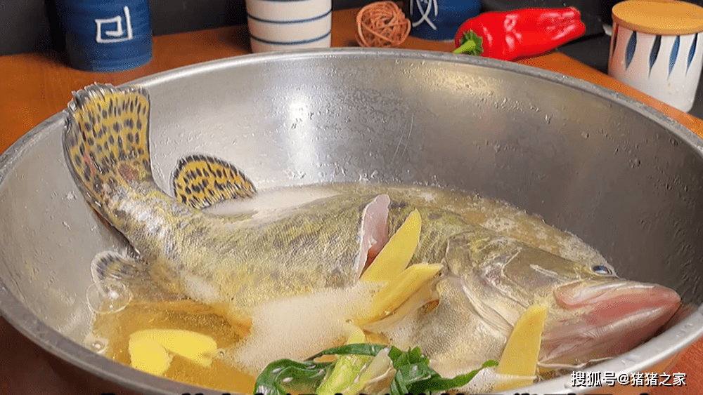 广东人做的清蒸鱼为什么那么好吃？学会正确做法，鱼肉鲜嫩无腥味 