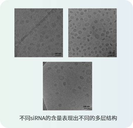 lnp表徵新方法——冷凍電鏡_樣品_顆粒_結構