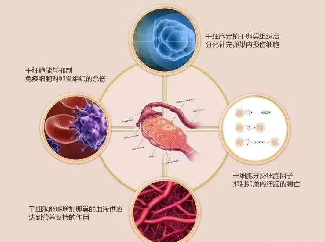 女性_研究_變化