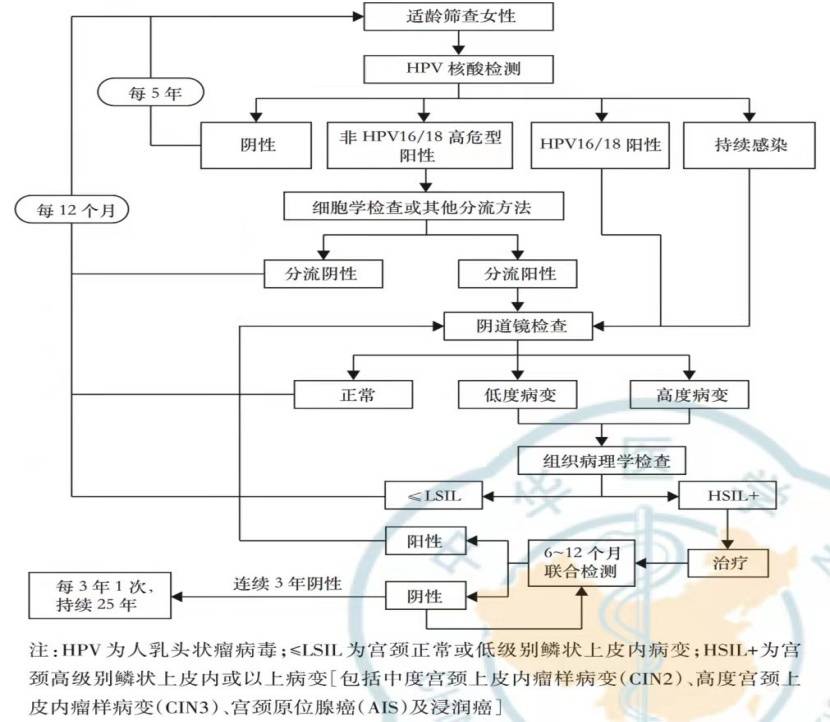 tct检查单子图片宫颈图片