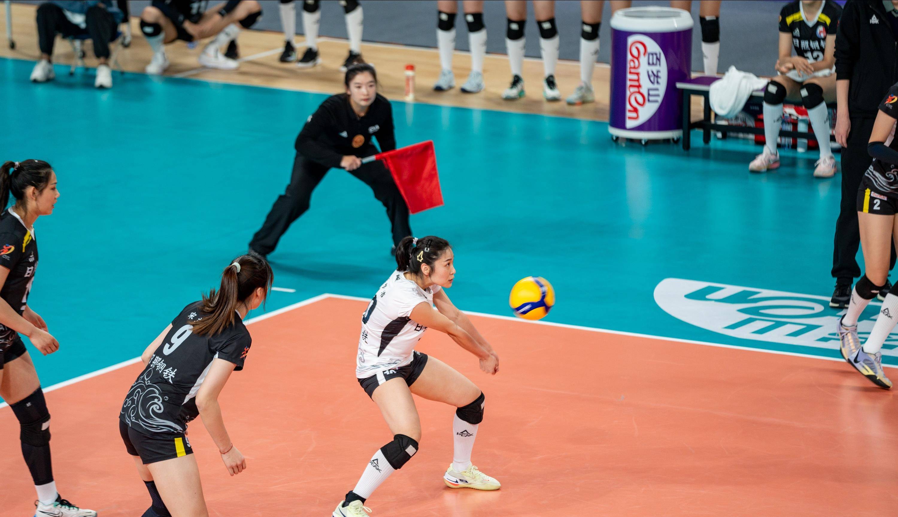 山东体育险被逆转,杜清清带伤上阵,外援开窍,王梦洁立功_比赛_河南