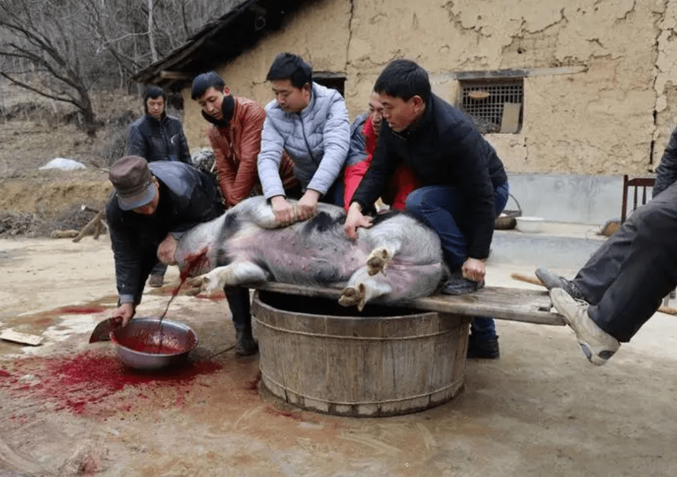 农民自己养猪,最后自己找人宰杀了,自己吃肉或者走亲戚,都是没问题的