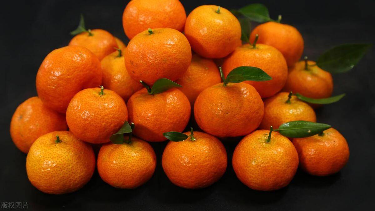 到了吃砂糖桔的季节,如何挑选?橘子与桔子是一样?