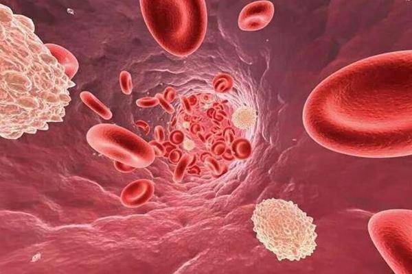 地中海贫血您了解多少_治疗_患者_红细胞