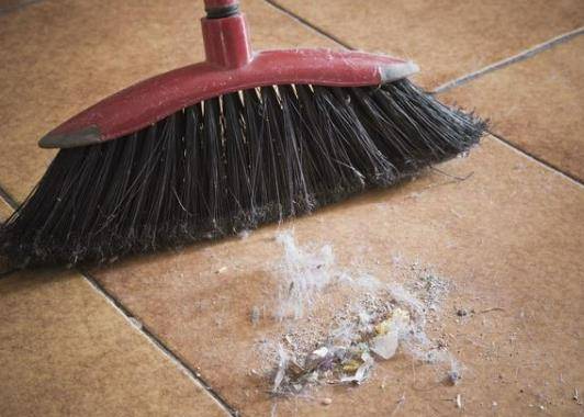 中佰康公司董事长鲁林萍分享灰尘吸多了会怎么样?_影响_楼层_高度