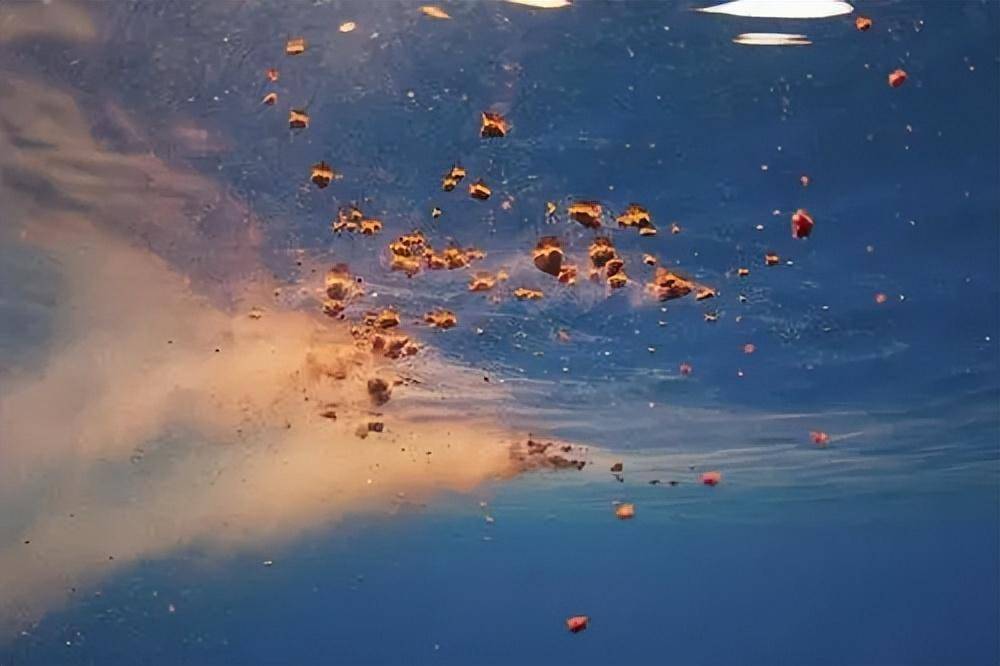 地球上最大的蓝鲸，每次排出2吨粪便，为何被称为海洋中的钻石？(图23)