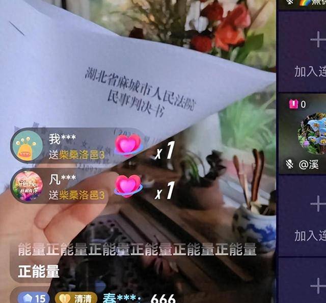 许敏反网暴再下一城,麻城的字母一审败诉,15日不上