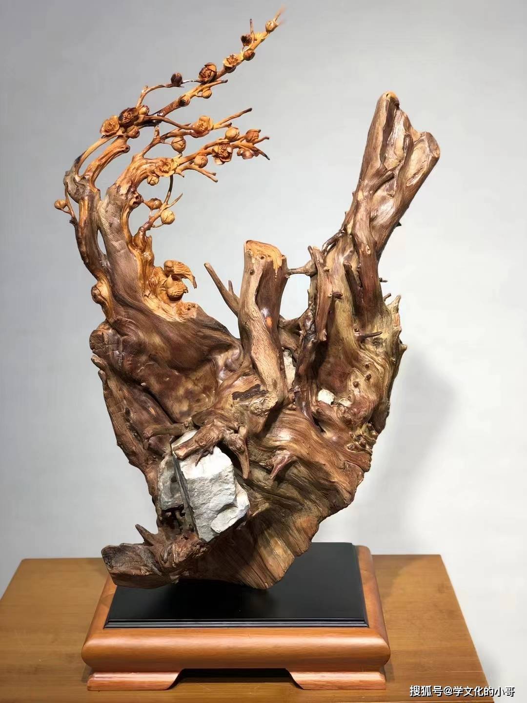根抱石的崖柏根雕有收藏价值吗?_艺术_石头_奇特