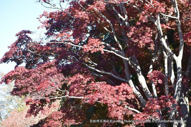 第2207回:別墅後院懸崖步道,奢華財富展示場所_莊園_範德比爾得_建築