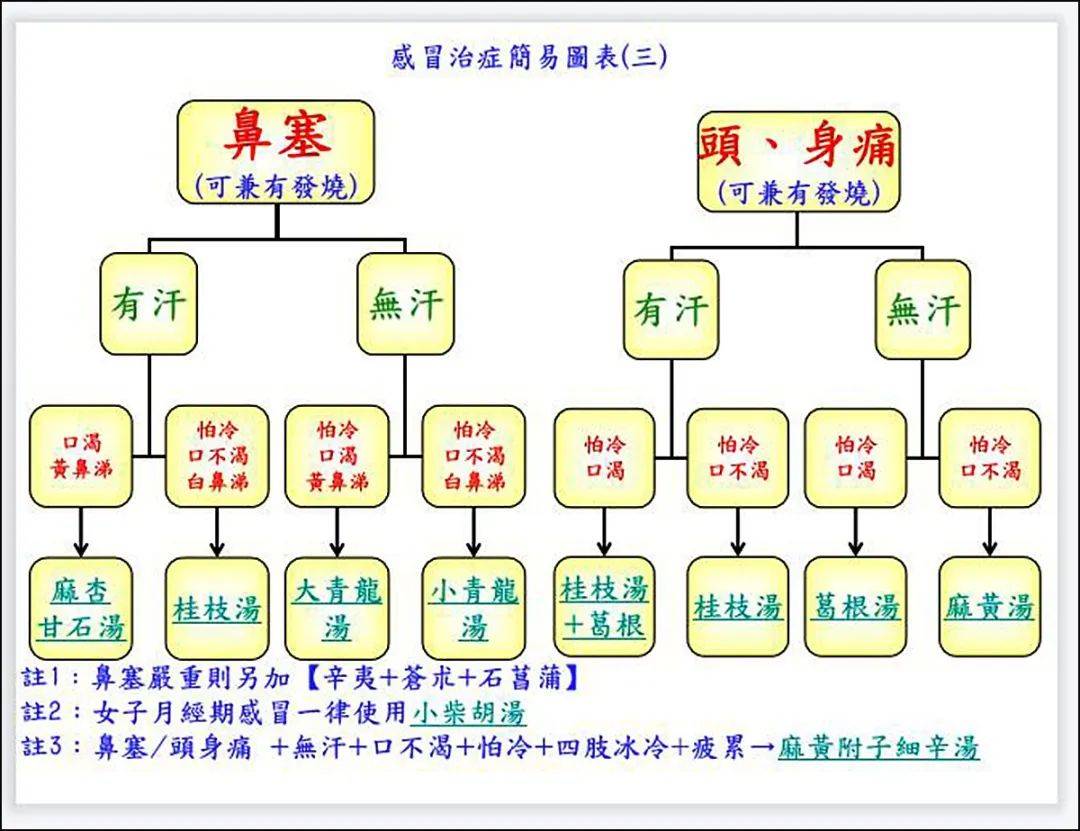 倪海廈:教大家如何治各種感冒_處方_病人_治療