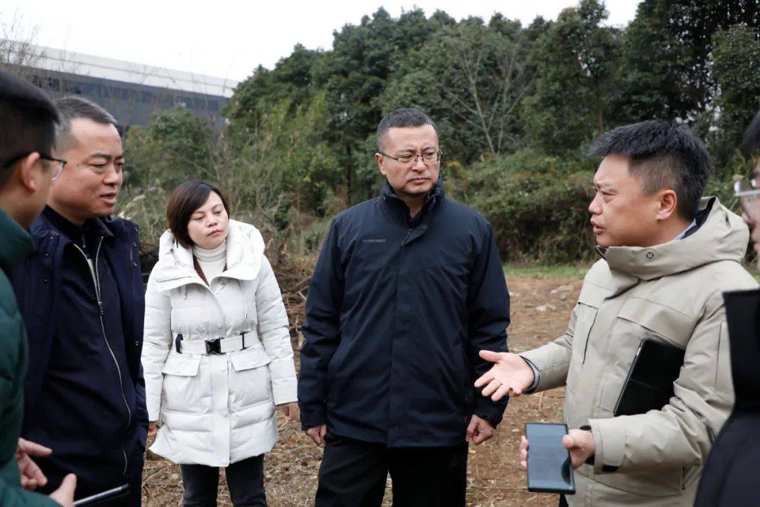花溪区长俞洋督导检查耕地保护和粮食安全工作_整改_有关_任务