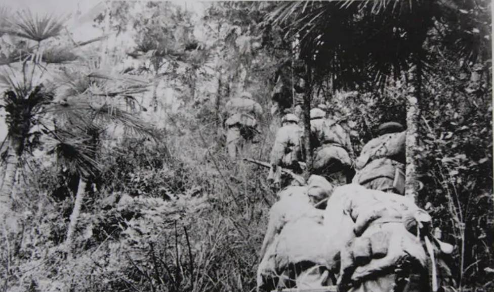 47军湘西剿匪,匪首哀嚎:从没见过那么能跑的官兵_部队_东北_战斗