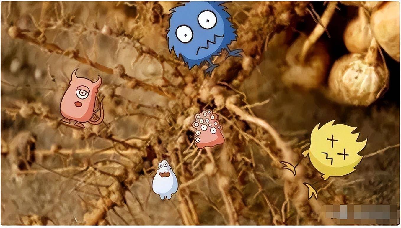 地球上曾出现过上千亿人，这是否意味着，泥土就是由腐尸构成的呢(图9)