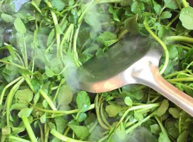 这种菜40块钱一斤,吃起来爽口下饭,多吃能化痰止咳还增强抵抗力(图5) 这种菜40块钱一斤,吃起来爽口下饭,多吃能化痰止咳还增强抵抗力(图5)