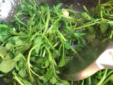 这种菜40块钱一斤,吃起来爽口下饭,多吃能化痰止咳还增强抵抗力(图6) 这种菜40块钱一斤,吃起来爽口下饭,多吃能化痰止咳还增强抵抗力(图6)