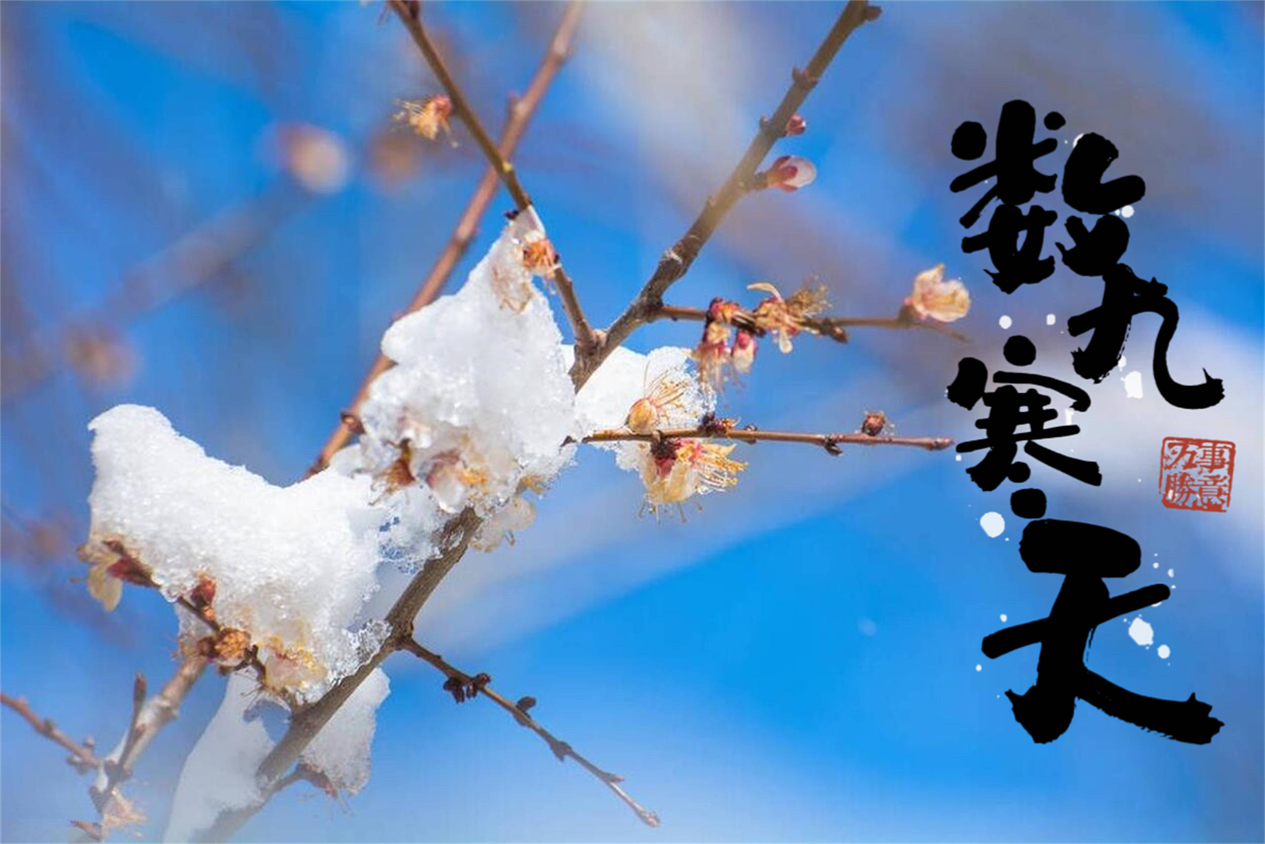 进入数九天,要懂忌嘴了,少吃2样,多吃5种"驱寒菜",舒服过冬