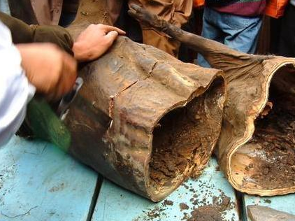 一存就是30年做法繁琐的臭猪肉,被当做宝贝,只用来招待贵宾!(图3) 一存就是30年做法繁琐的臭猪肉,被当做宝贝,只用来招待贵宾!(图3)