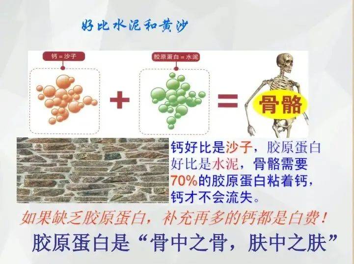 家家益生緣:為什麼缺乏膠原蛋白肽_補充_美容_人們