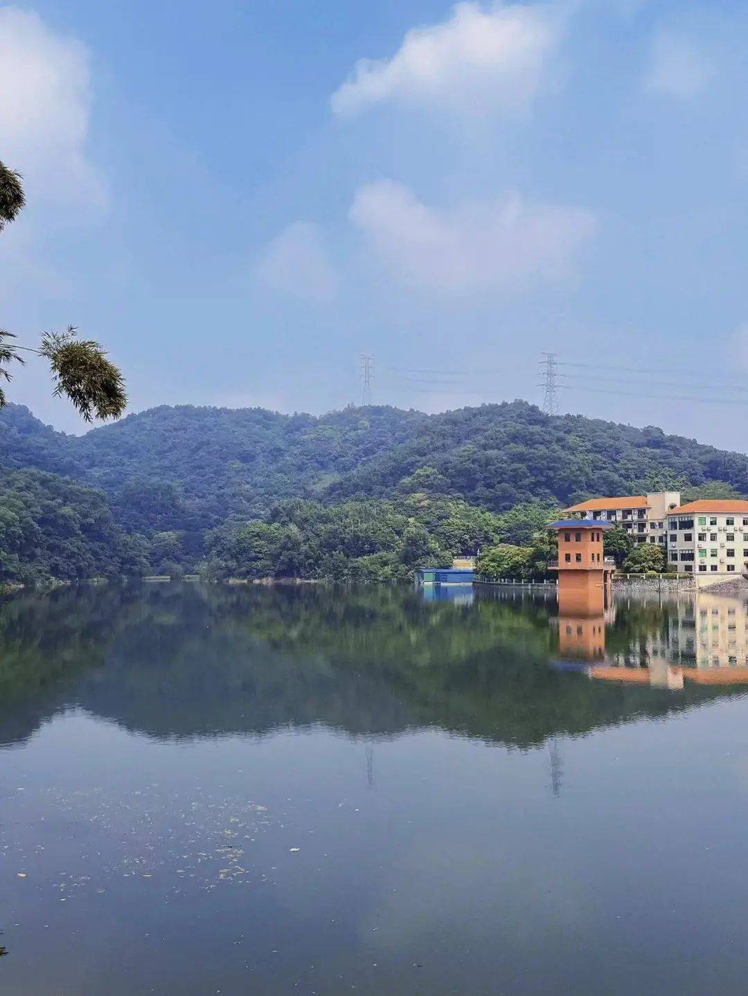 徒步山野 激扬青春丨记广州青企协举办"木强水库"秋日徒步活动_进行