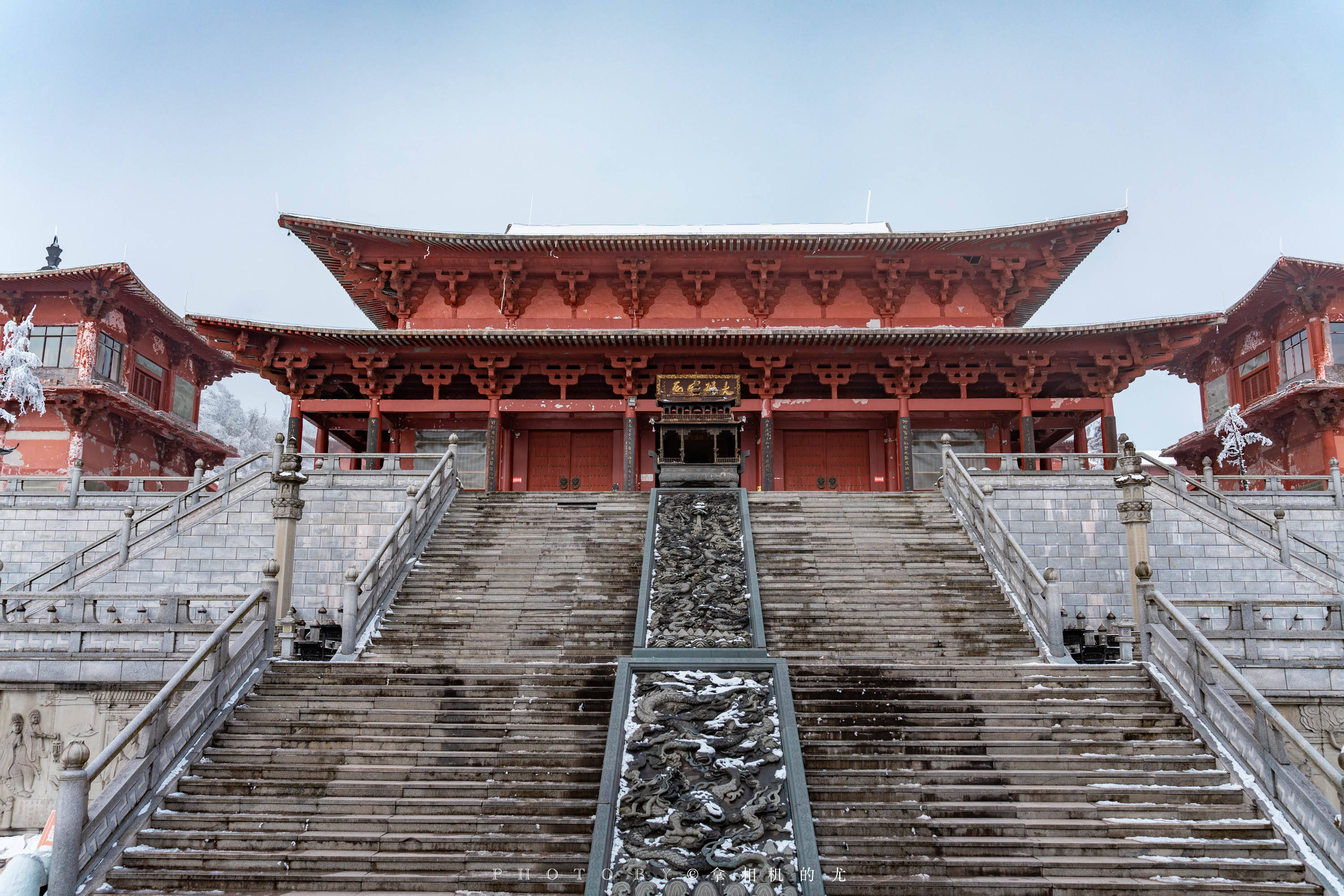 没想到游客爆满的金佛山,却能在这个秘境独享云海_竹林_世界_杜鹃