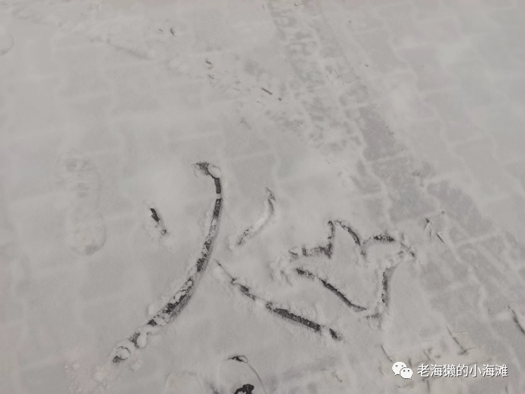 雪花幽灵的功效与作用是什么?怎么辨别雪花幽灵的真假?【水晶百科】