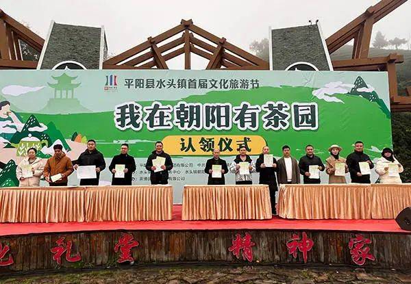 平阳水头镇举行"我在朝阳有茶园"认领活动 探索茶旅融合新模式_黄汤茶