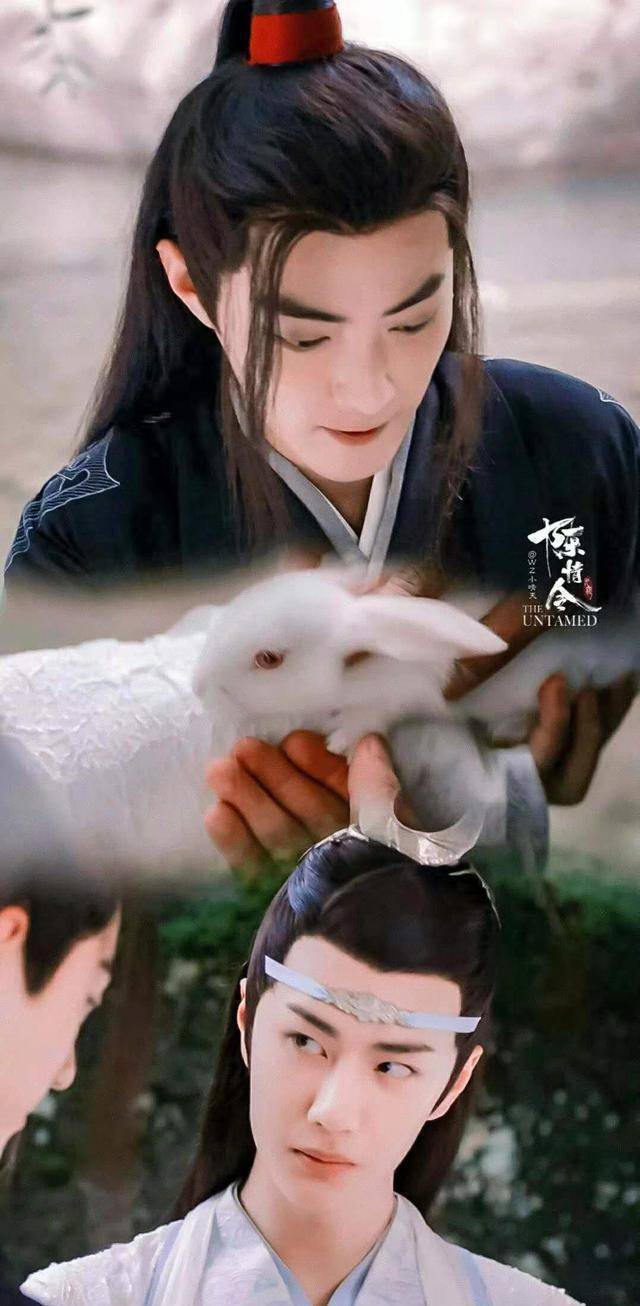 《陈情令》奢半生,幸得有君共寒暑,江湖,天子长醉枕姑苏_魏无羡_蓝湛