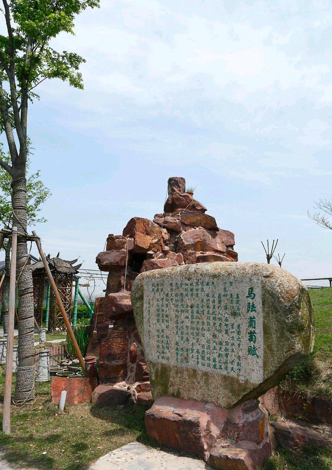 上海嘉定马陆葡萄主题公园环境极为优美_游客_小溪_美景