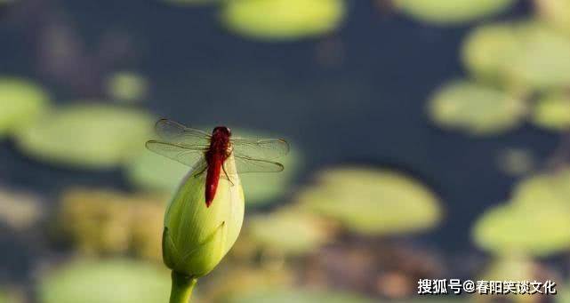 7天后,財神爺就會給財大氣粗的三大生肖送上大禮!