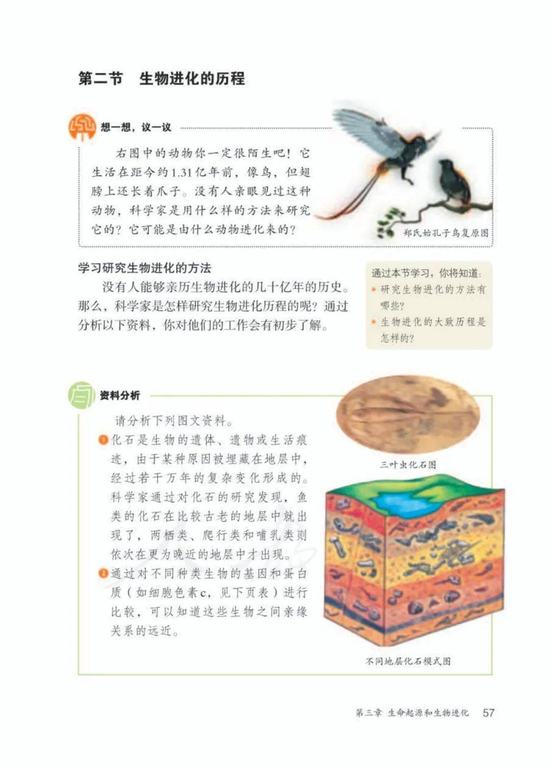 人教版八年级下册生物电子课本(高清完整版)