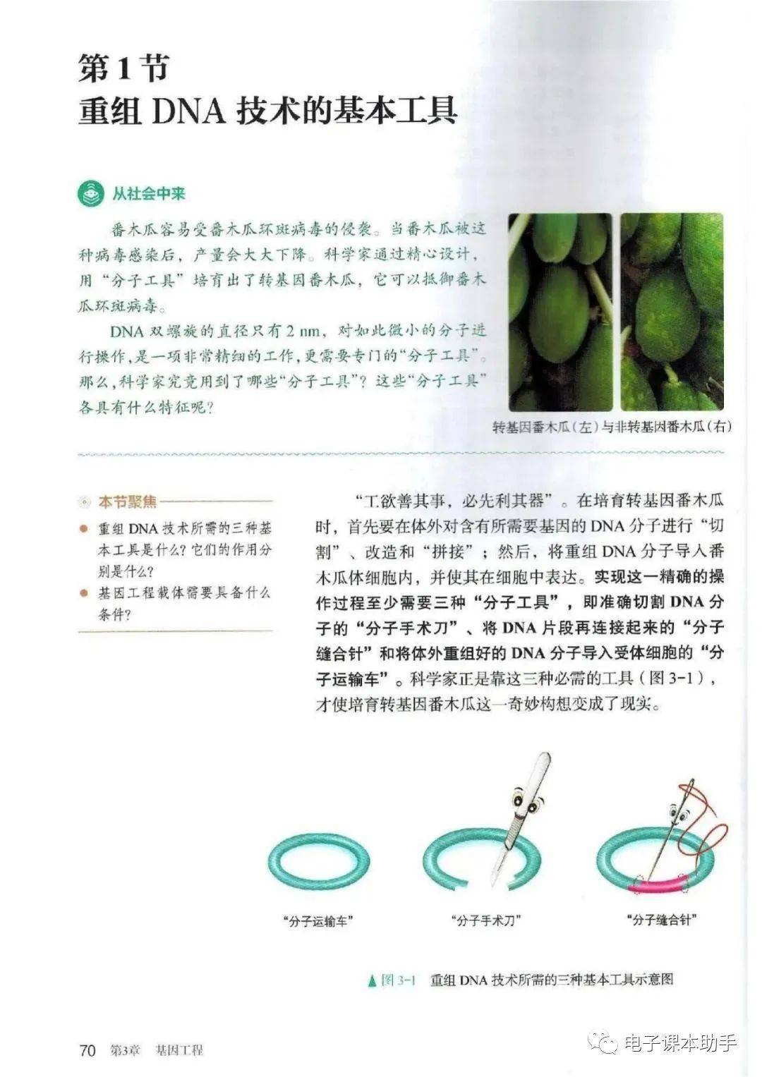 高中生物必修3课本(高中生物必修课本知识点总结)  第2张