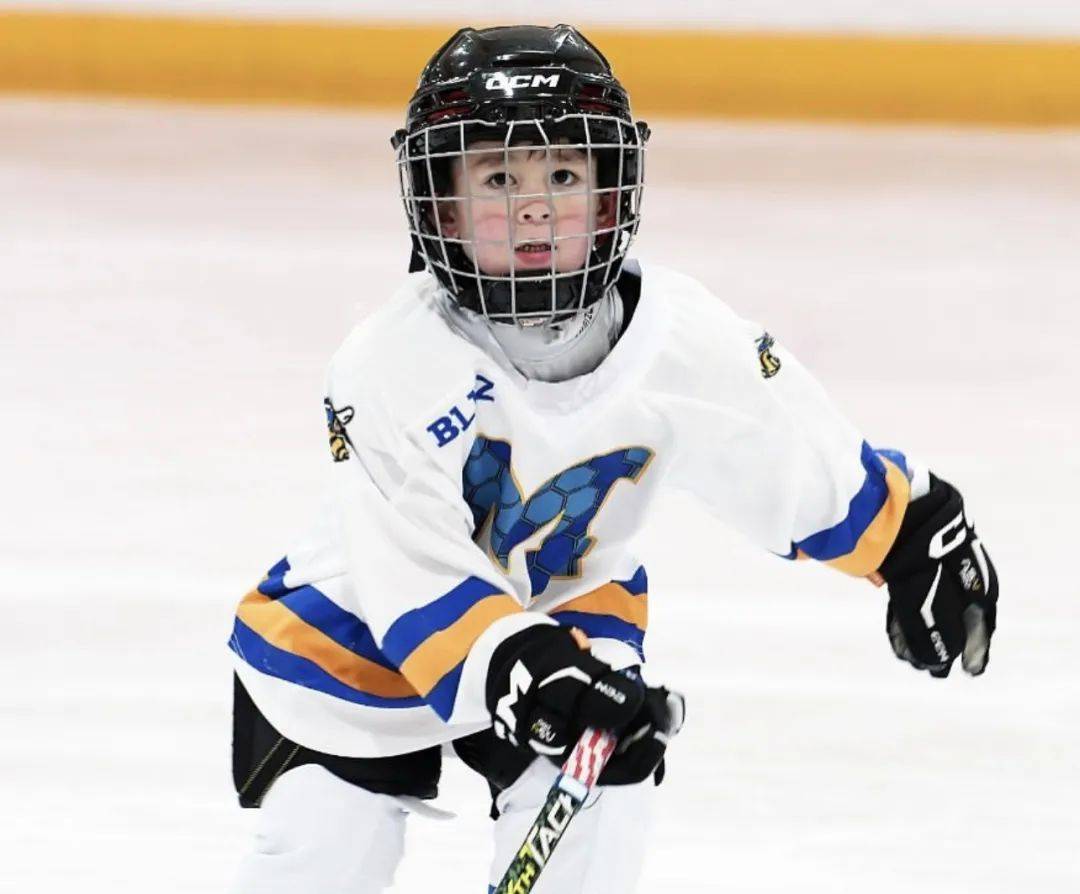 还记得表情包里的威廉和本特利吗?不足十岁粉丝百万?_sam_兄弟俩_爸爸