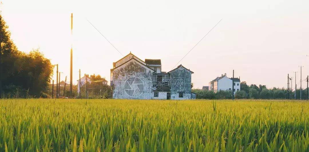 鞭炮_记忆_课桌