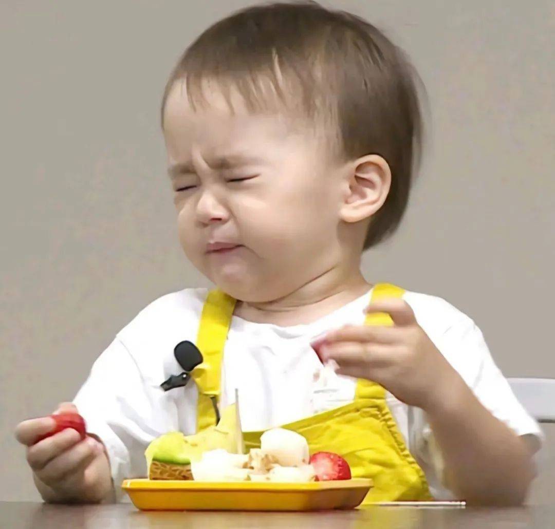 还记得表情包里的威廉和本特利吗?不足十岁粉丝百万?_sam_兄弟俩_爸爸