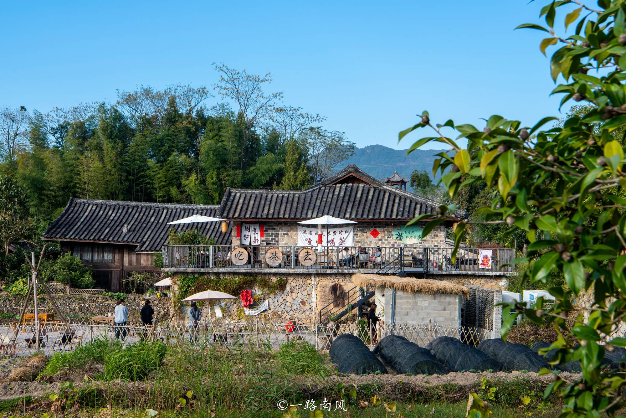 泰顺雅阳塔头底古村落图片