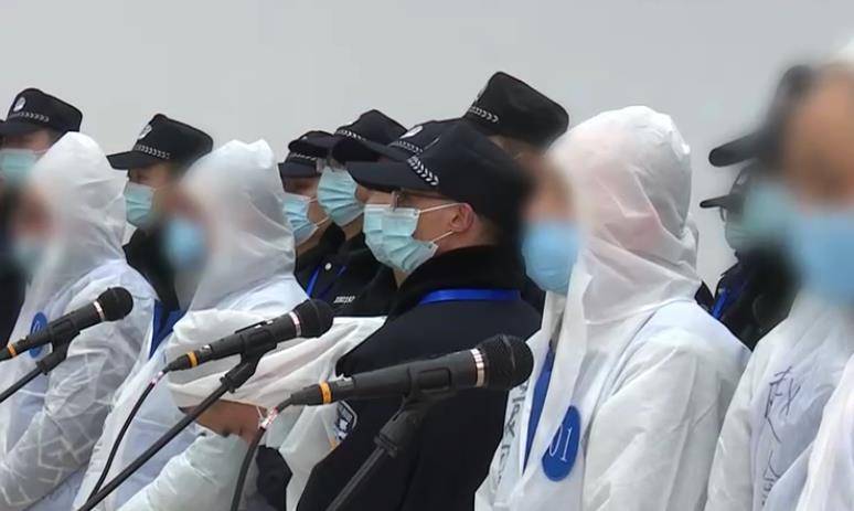 经过审判,被告人袁麒淞被判有期徒刑二十五年,剥夺