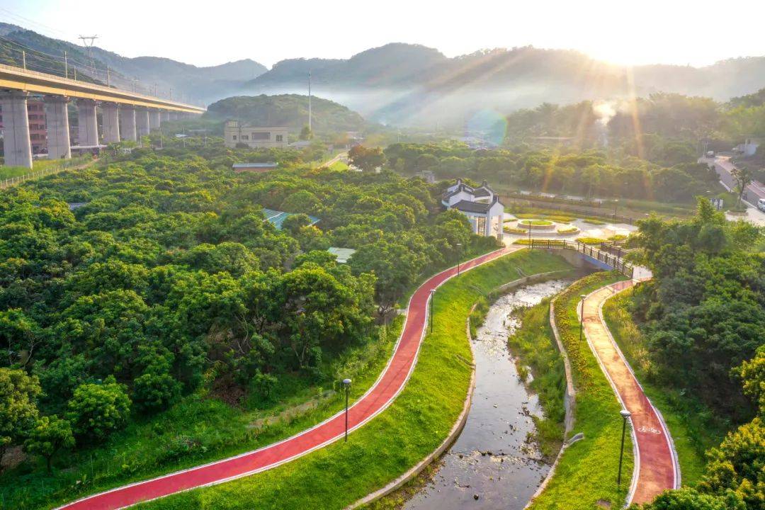 东莞谢岗荣获"广东省森林城镇"称号_生态_公园_全镇