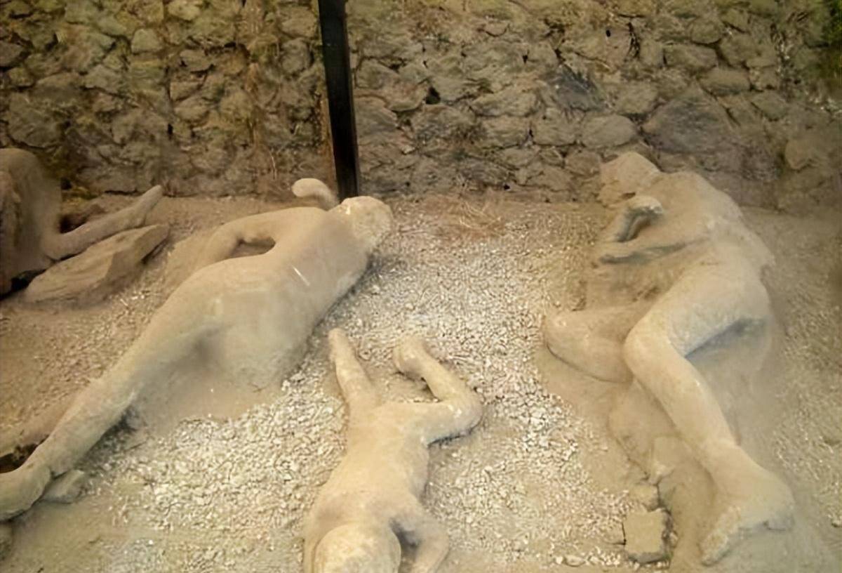 一夜消失的庞贝古城,2000年后给出了答案_人们_尸骸_贵族