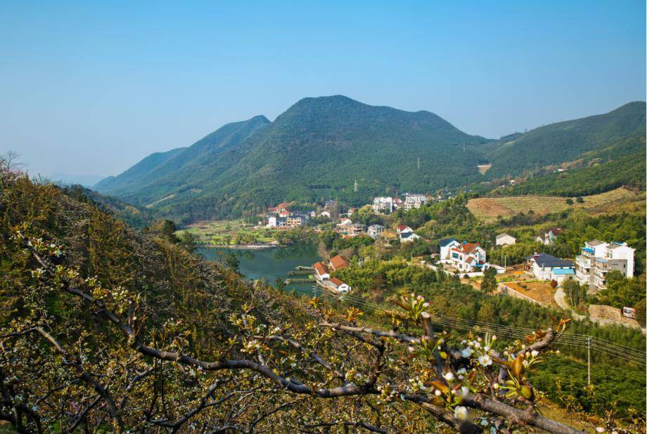 乡村治理生态美村篇之深山劳岭裸心养生打造中国最美休闲乡村