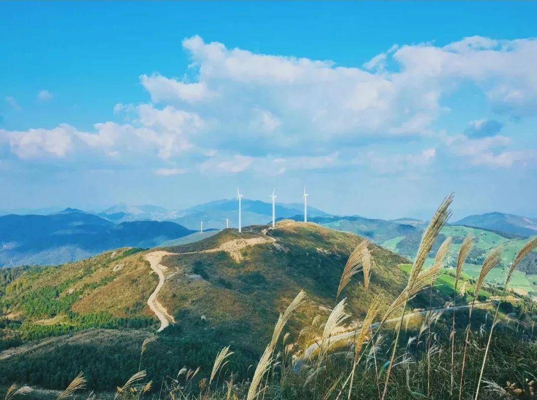 位於諸暨,東陽,嵊州 三市毗鄰地帶的東白山 據傳就是牛郎織女的發源地